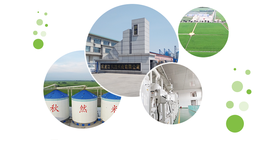 1635317599574143.png 1577340459634003.png