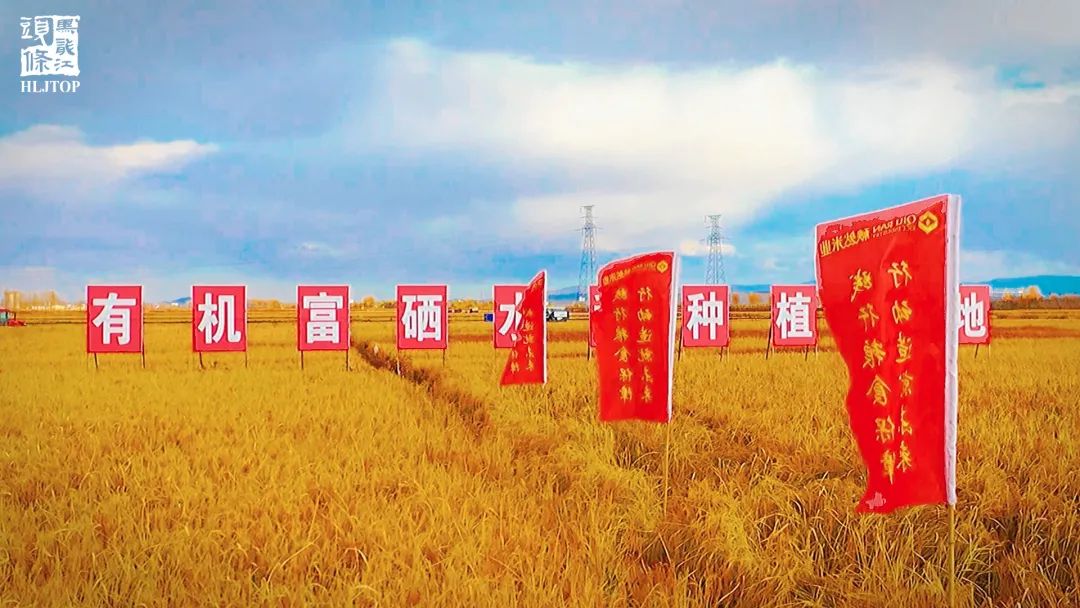 1635330243347222.jpg 微信圖片_20211027182321.jpg