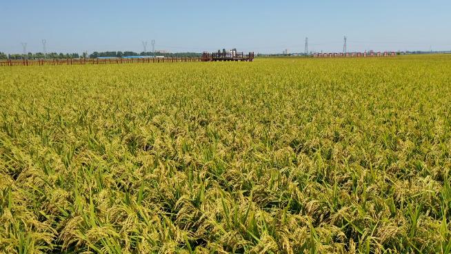 1635330645815844.png 微信圖片_20211026104921.png