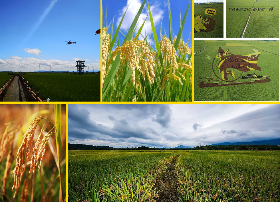 1635909098783817.png 圖片3.png