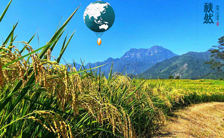 1646104830299354.png 模板-恢復(fù)的.png