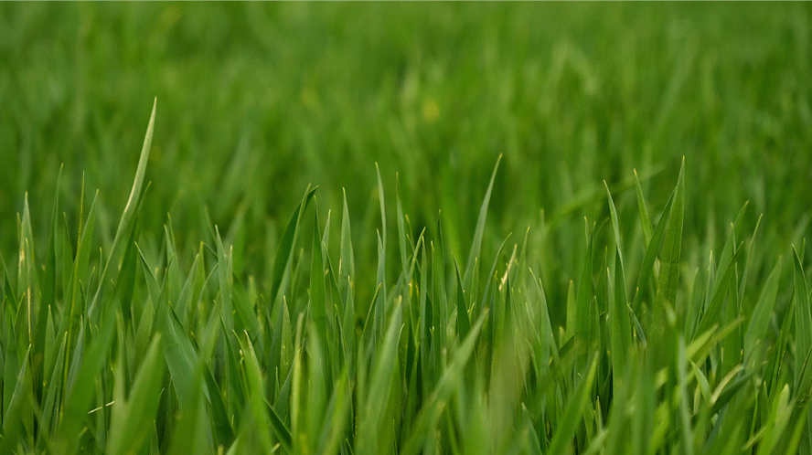 1652084448299873.png 3.png