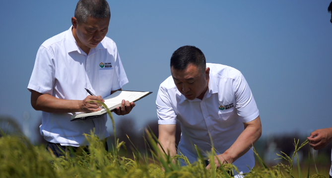 1652084549187109.png 0.png