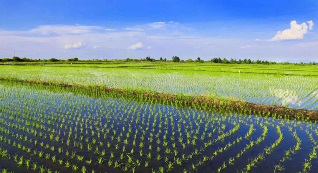 1685607429749279.jpg 640 (7).jpg