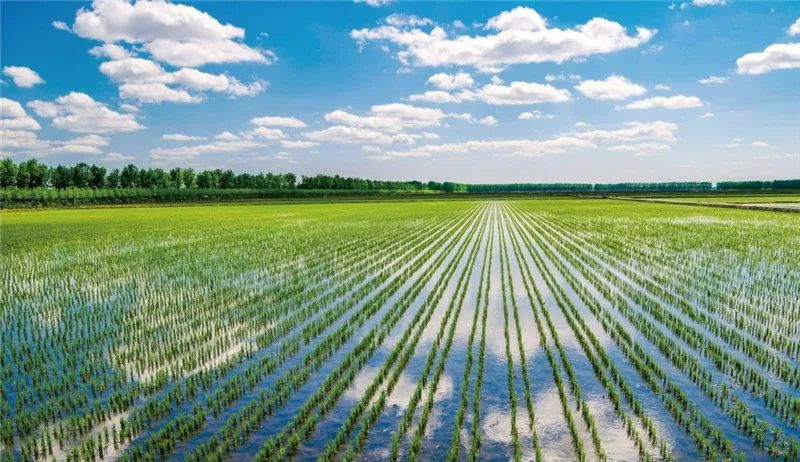 1685607437481138.jpg 640 (8).jpg